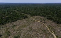 L&#039;Amazonie en proie aux flammes : un impact mondial considérable