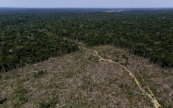 L'Amazonie en proie aux flammes : un impact mondial considérable