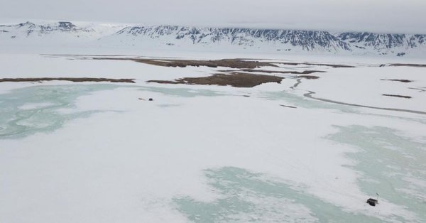 L&#039;impact sur la faune et la flore de la fonte tardive des neiges en Arctique