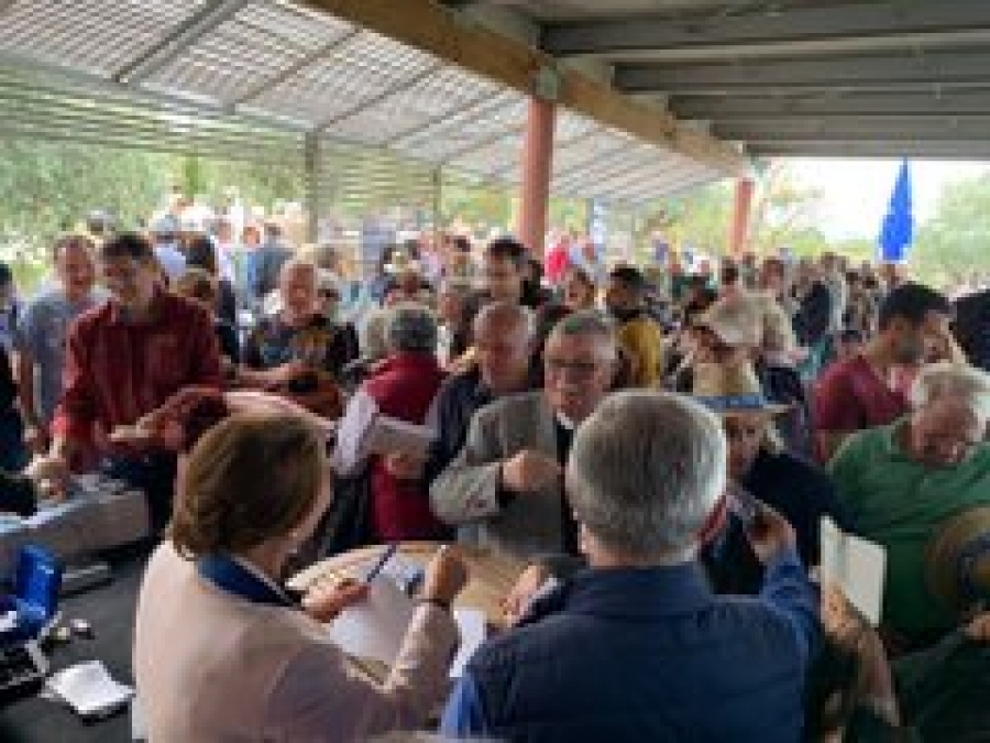 Rencontres et dédicaces : Fête de la Méditerranée en Corse