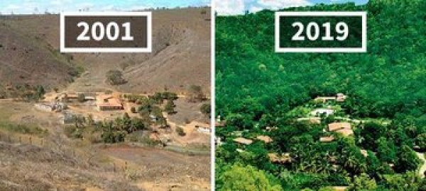 Replanter, c’est possible : l&#039;exemple de Sébastiao Salgado et de l&#039;Instituto Terra au Brésil
